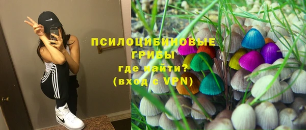 ГАЛЛЮЦИНОГЕННЫЕ ГРИБЫ Володарск