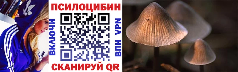 цены   Волхов  Псилоцибиновые грибы Magic Shrooms 